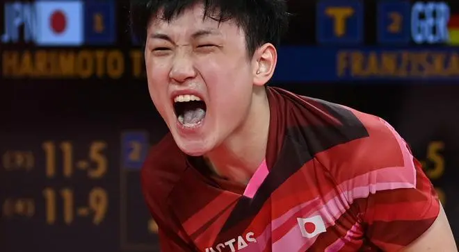 张本智和在比赛中与中国队教练发生争执引发关注